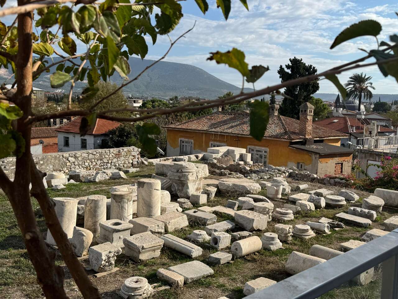 11. Milas Zeytin Hasat Şenliği Başladı 17